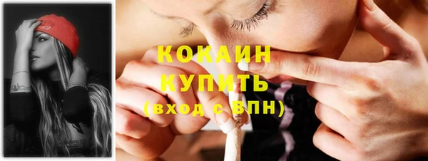 индика Бородино
