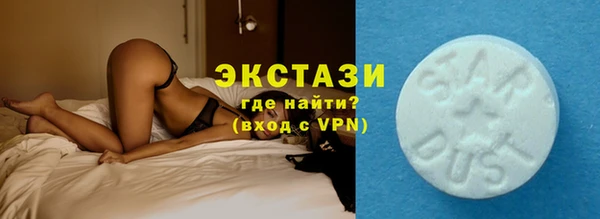 индика Бородино