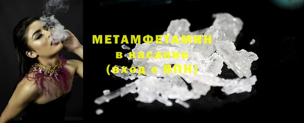 индика Бородино