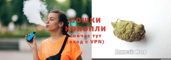 индика Бородино
