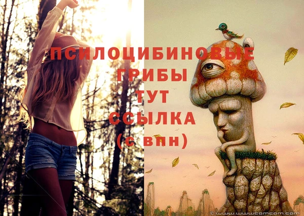 индика Бородино