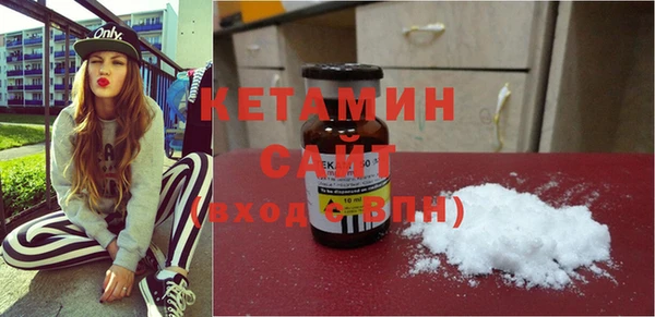 индика Бородино