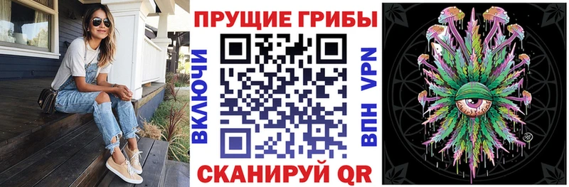 цена   Озёрск  Псилоцибиновые грибы Cubensis 